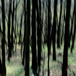 Camera Painting 3