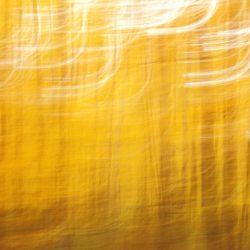 Camera Painting 7