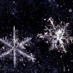 Ice 16