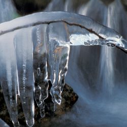 Ice 5