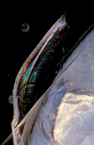 Ice
