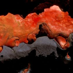 Oxidation 3
