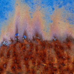 Oxidation 7