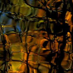 Reflections 11