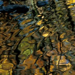 Reflections 13