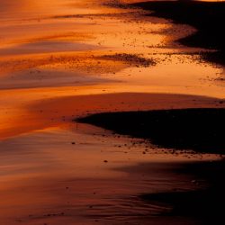 Reflections 15