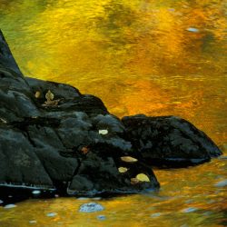 Reflections 16