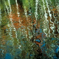 Reflections 3