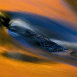 Reflections 9