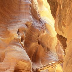 Rocks 1