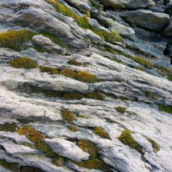 Rocks 13